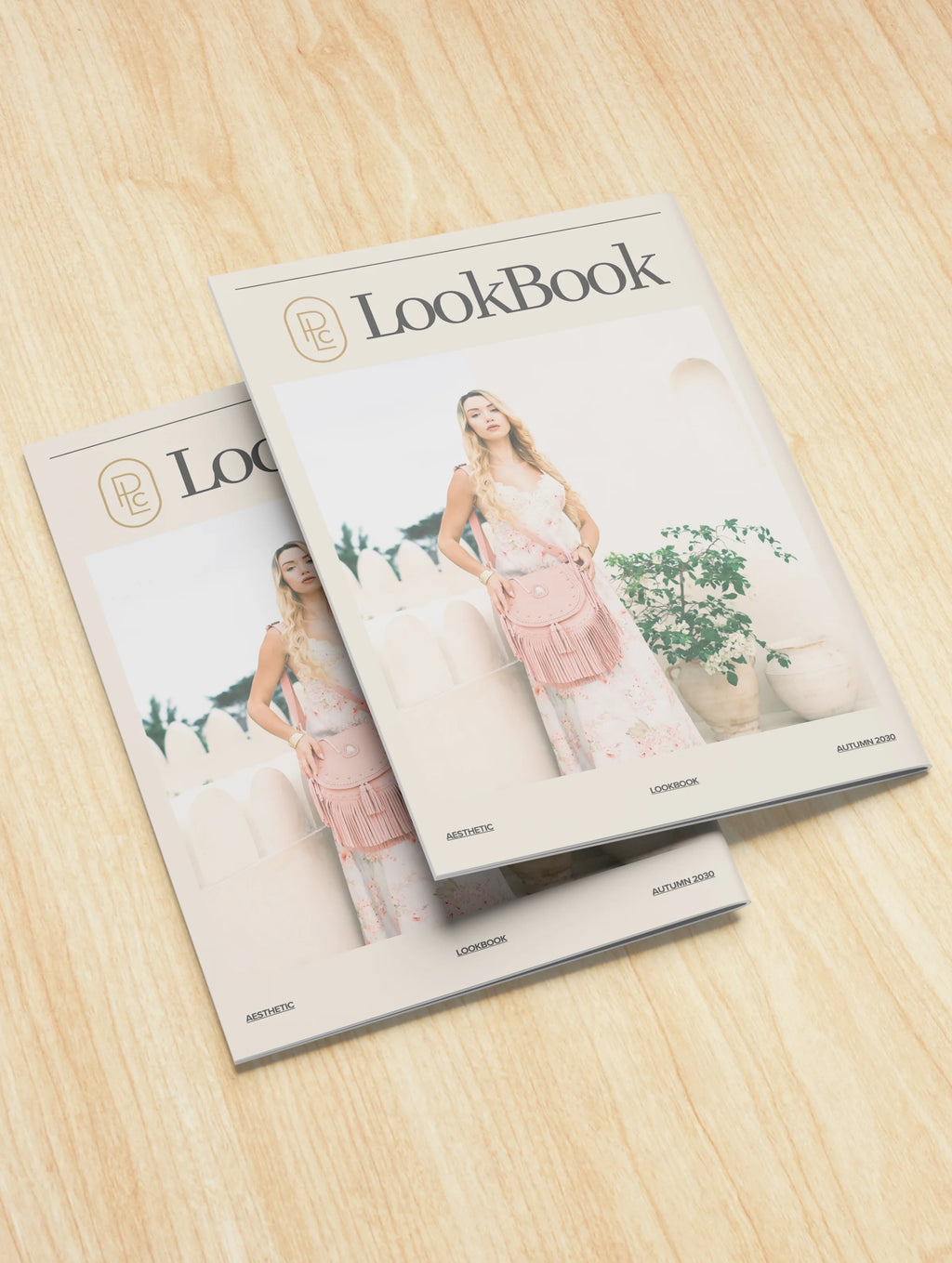 Luxe product photography by Pacific Luxe Creative featuring a pair of LookBook magazines on timber background with natural tropical tones.